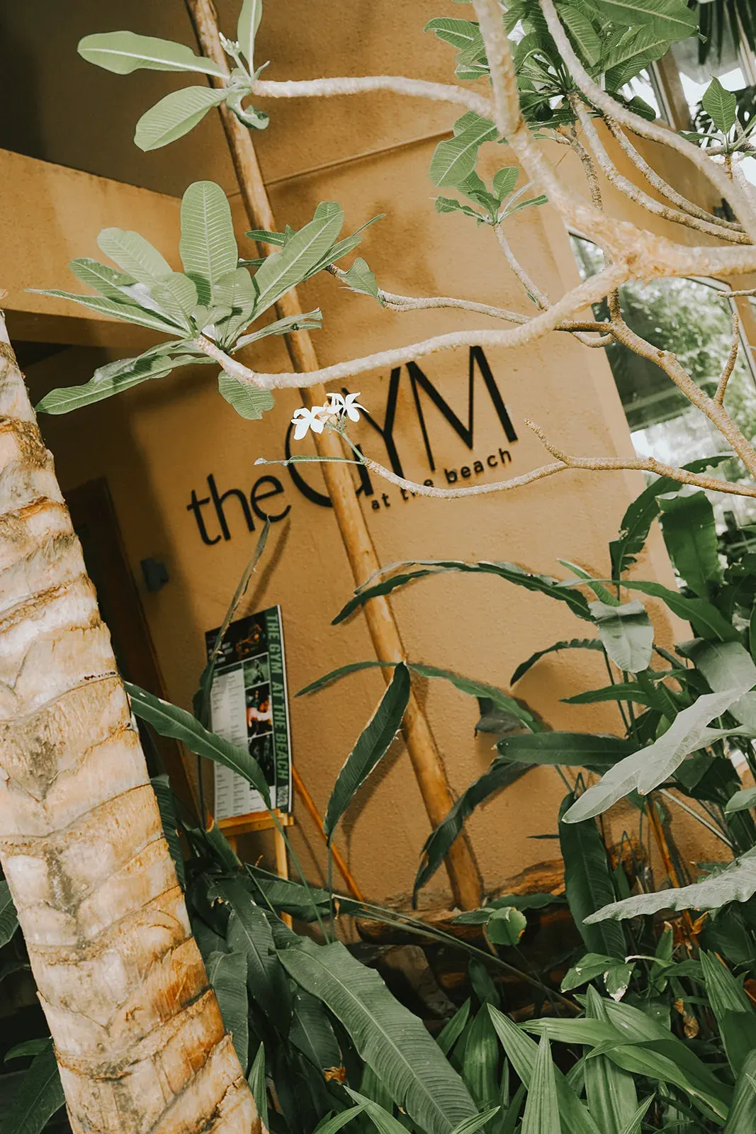 The GYM at the beach — Standard Gym in Campal, Goa