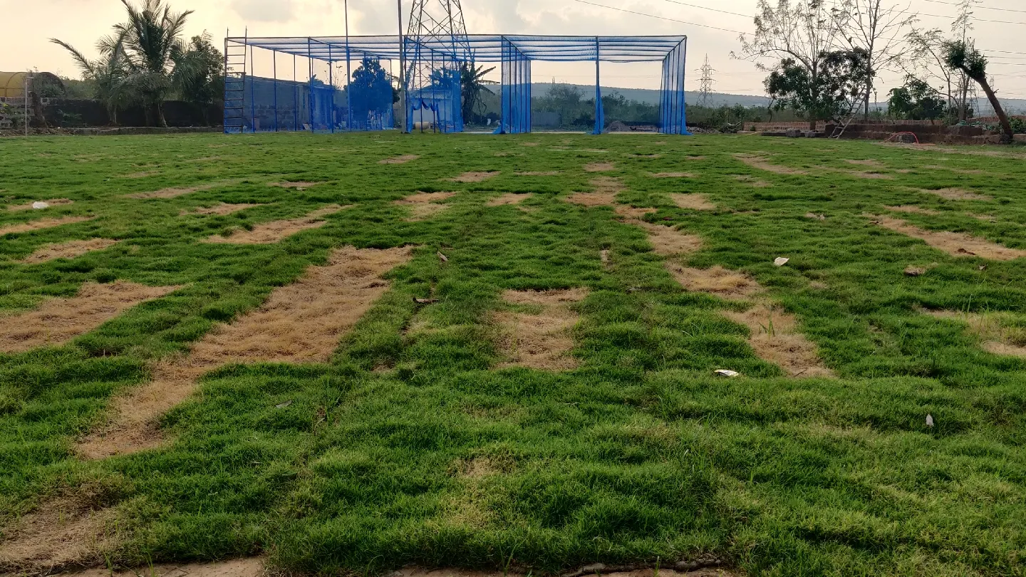INDIAN INSTITUTE OF CRICKET — Cricket in Gandhi Chakka, Bhubaneswar