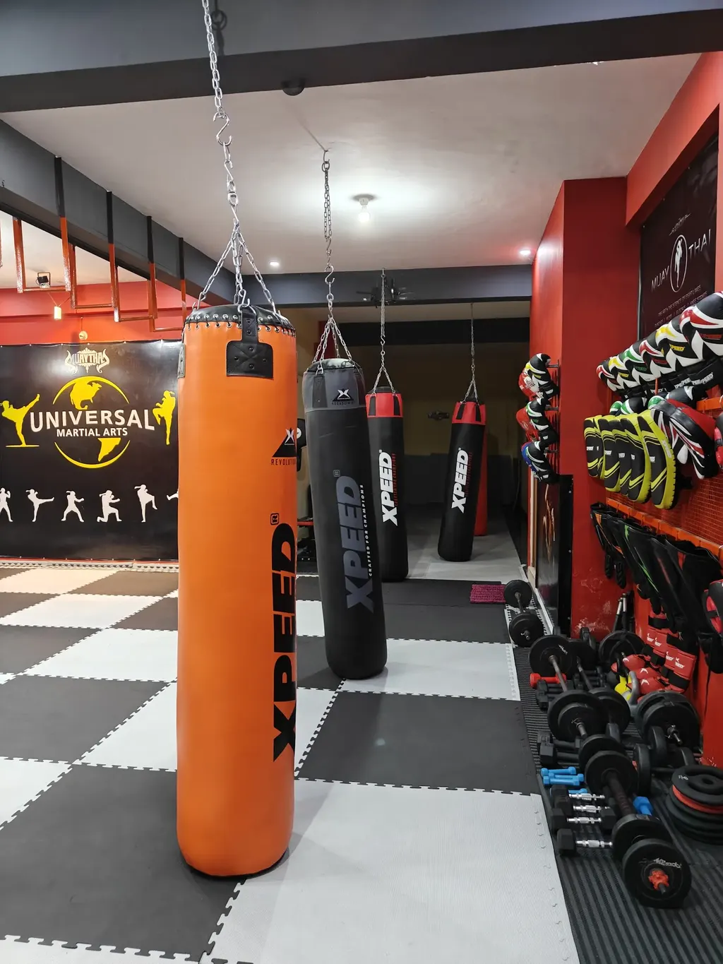 Universal martial arts Muay Thai — Gym & Fitness in Rajiv Nagar