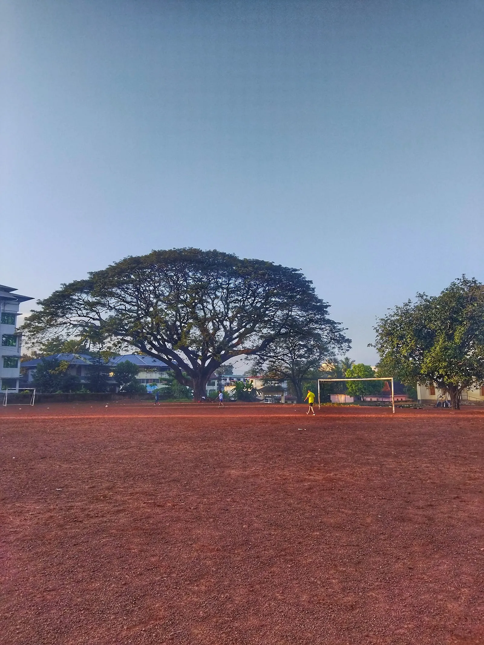 Globstars Cricket Club,Aluva — Cricket in Periyar Nagar, Kochi