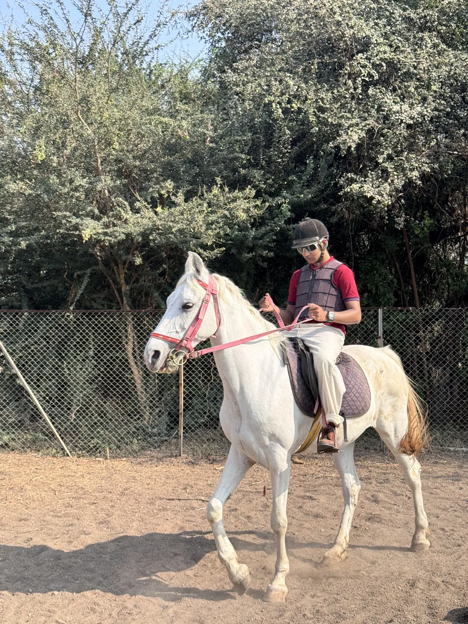Nihang Ashwashala — Gym & Fitness in Swaminarayan Nagar, Nashik
