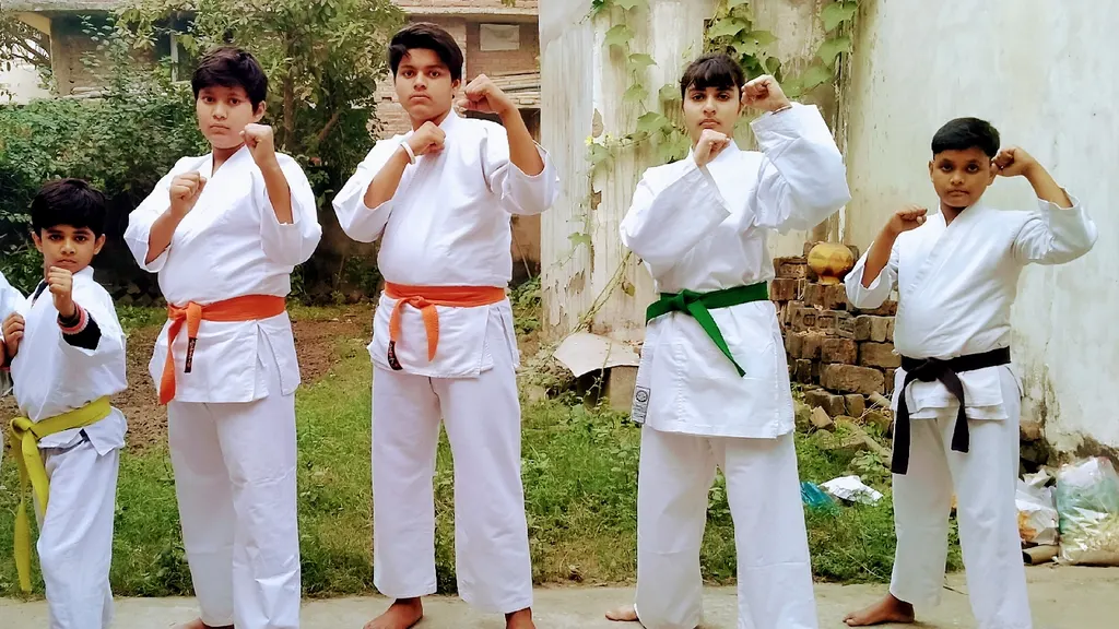 FIGHTER MARTIAL ARTS — Martial Arts in Anisabad
