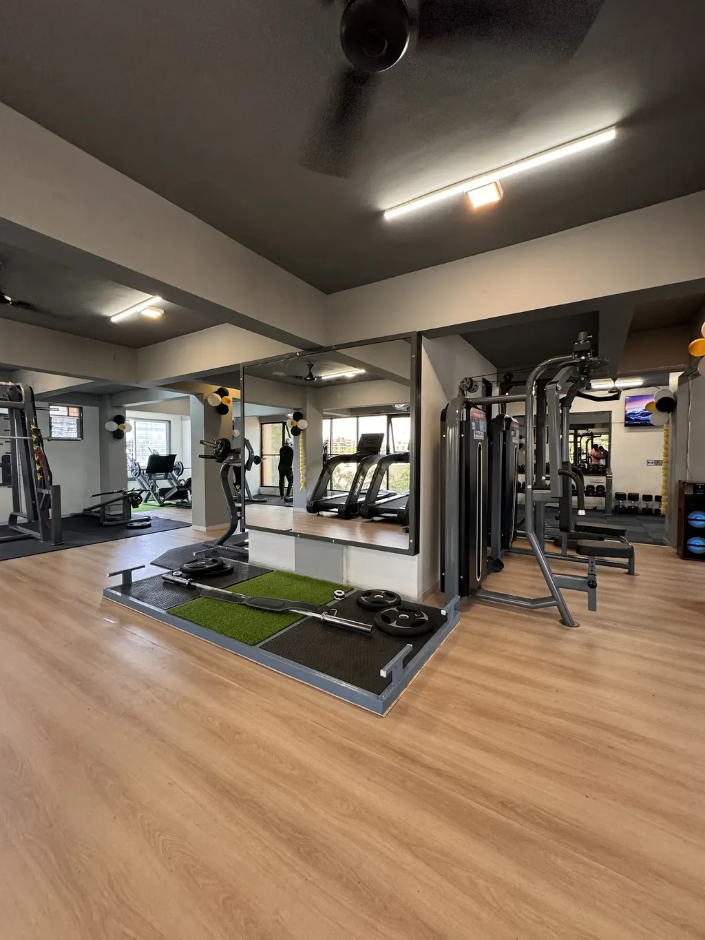 Train & Transform fitness