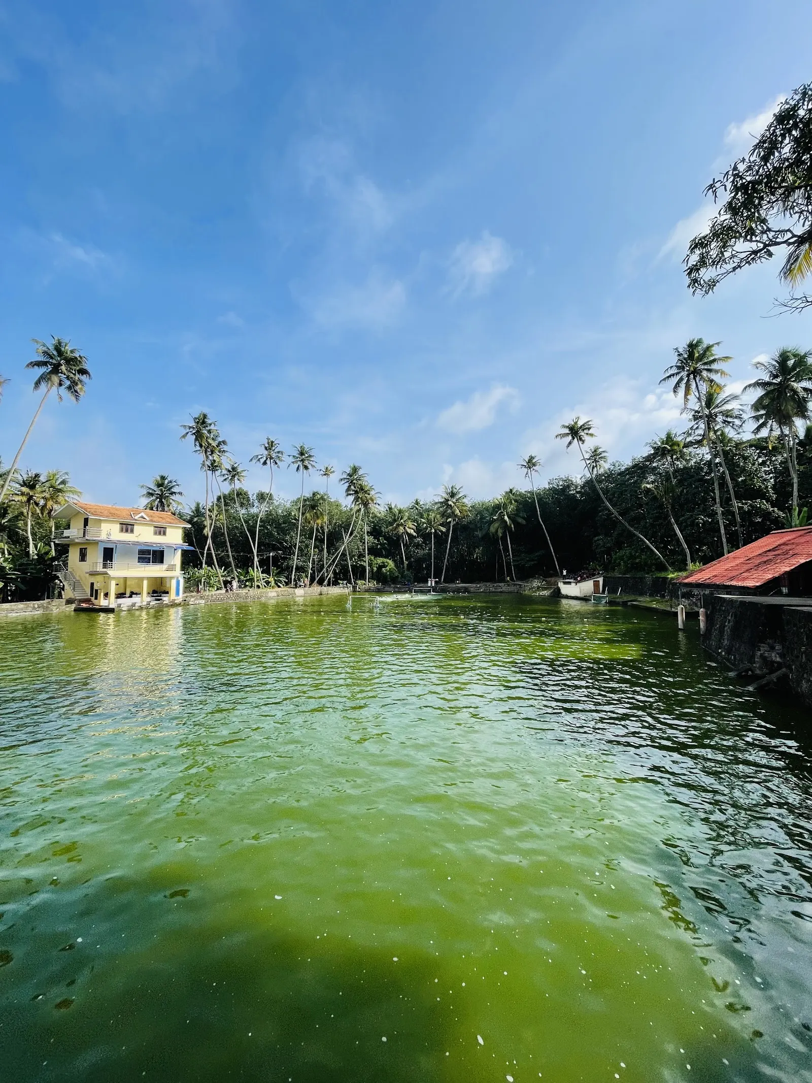 Dolphin Club Swimming Pool — Swimming in Pirappancode, Trivandrum