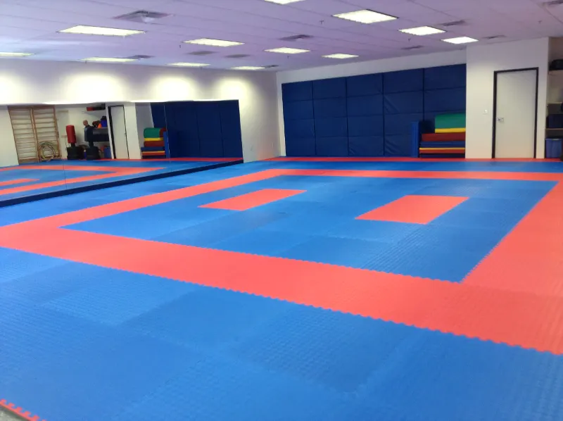 Samarth Karate Academy — Martial Arts in Krishna Bag Colony