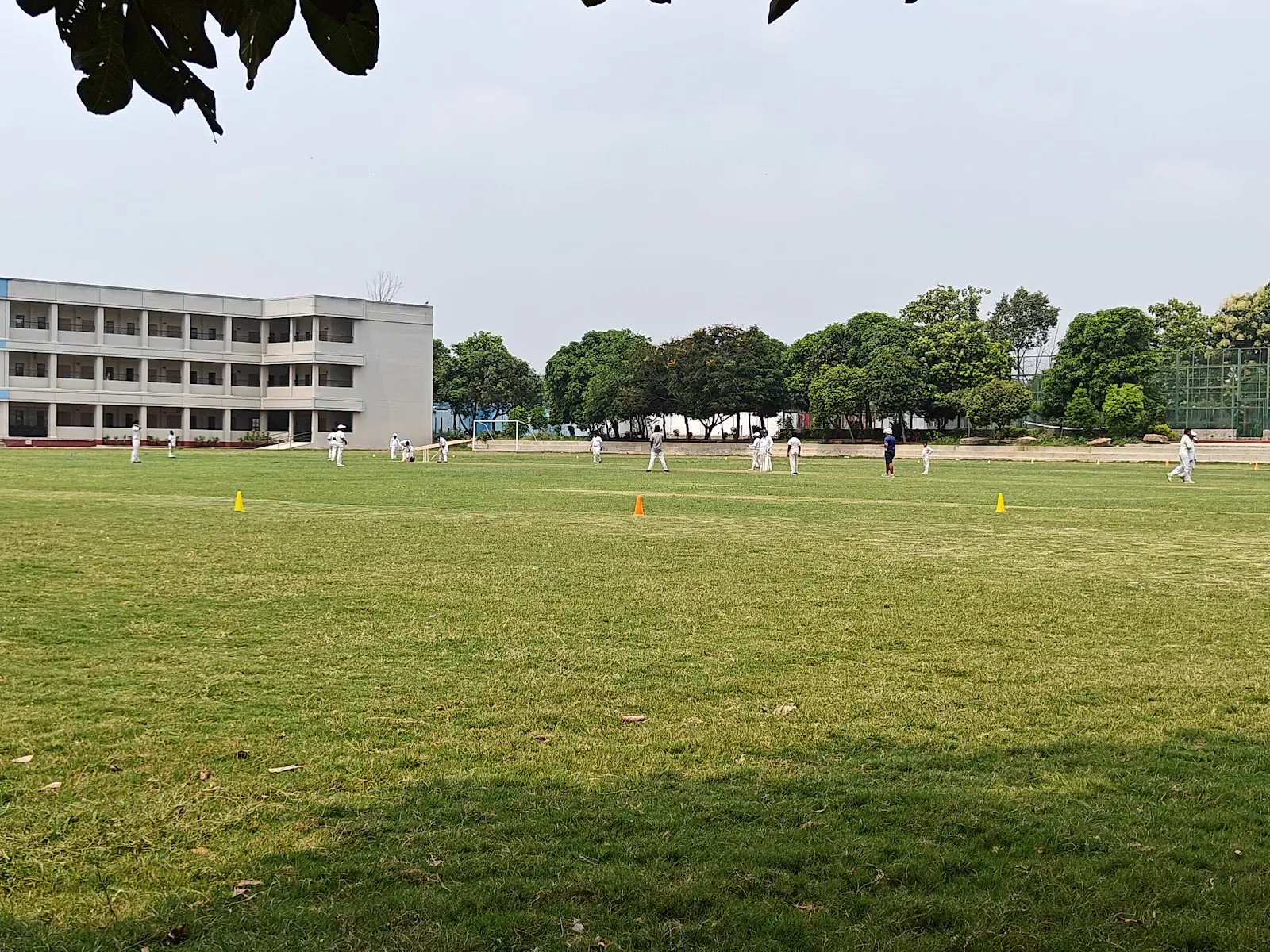 Cricket Academy Of Pathans (CAP) Bhubaneswar — Cricket in Chandrasekharpur, Bhubaneswar