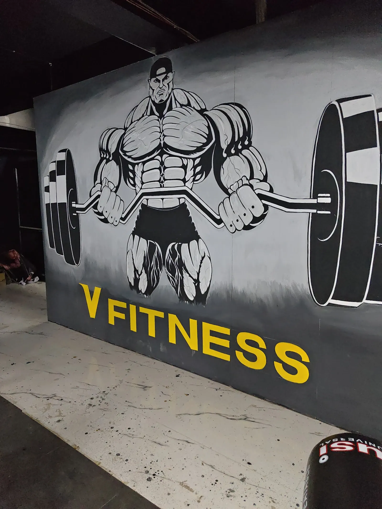 V Fitness Gym photo 1