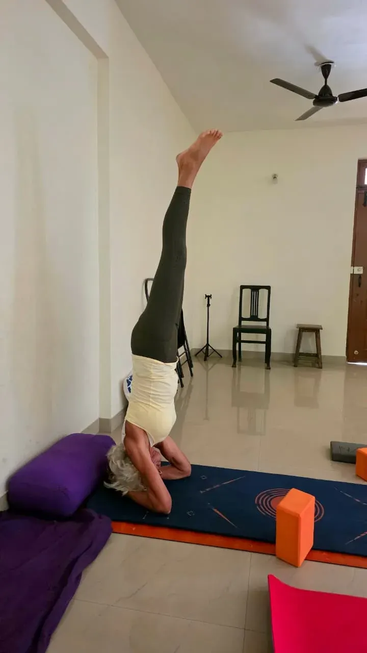 The Yoga Clinic(Dr.Pooja Talauliker) — Yoga in Pajifond, Goa