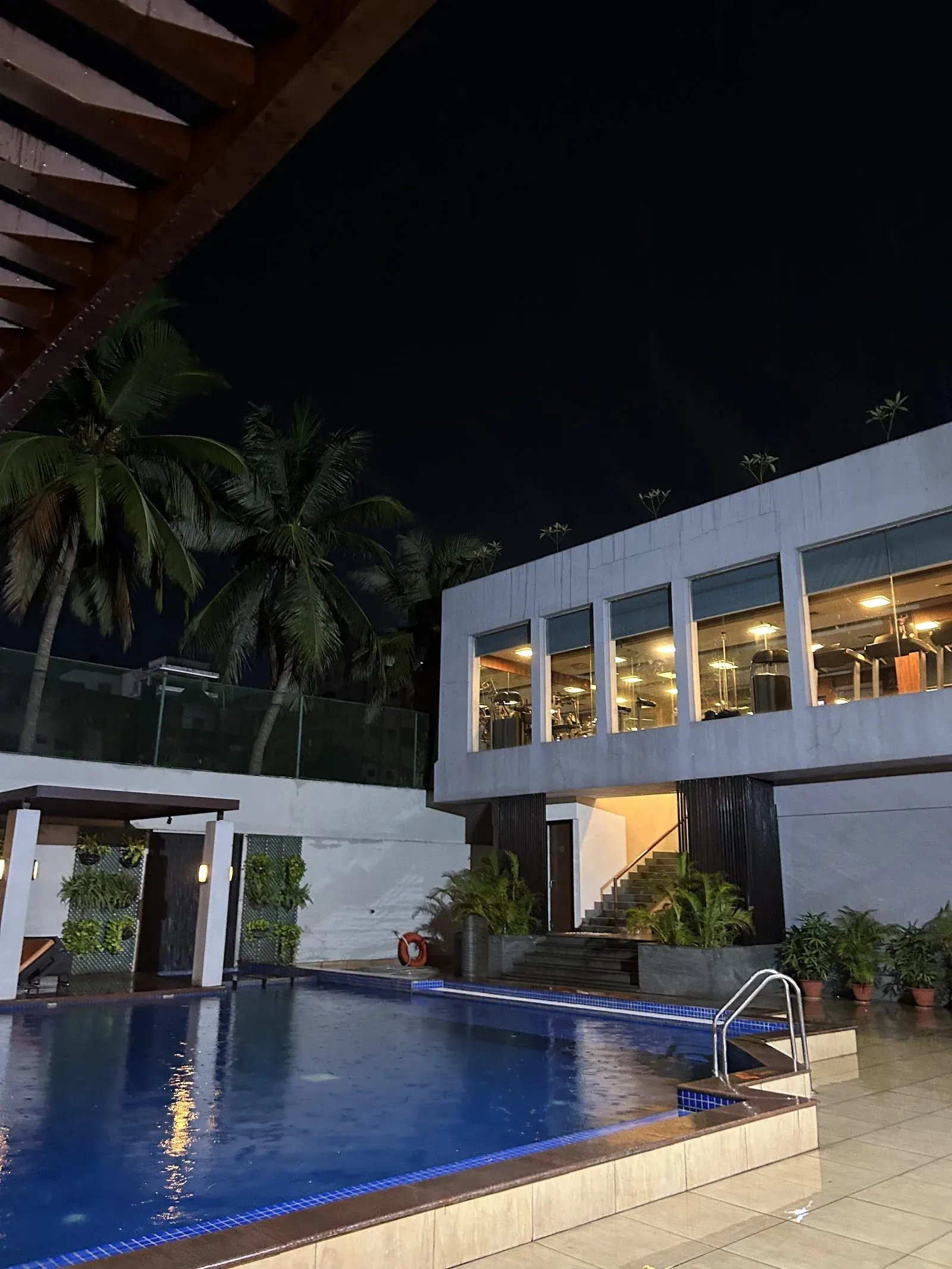 Dolphin Swimming Pool photo 1