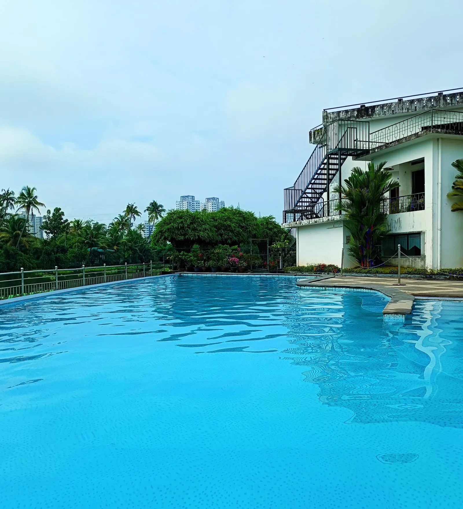 Dolphin Swimming Academy — Swimming in Vyttila, Kochi