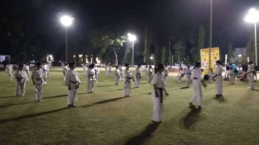Ashihara Karate — Martial Arts in Adajan
