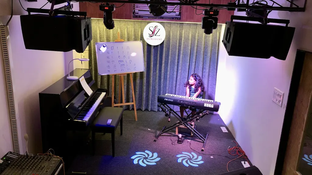 SFORZANDO SCHOOL OF MUSIC — Music in Palanpor