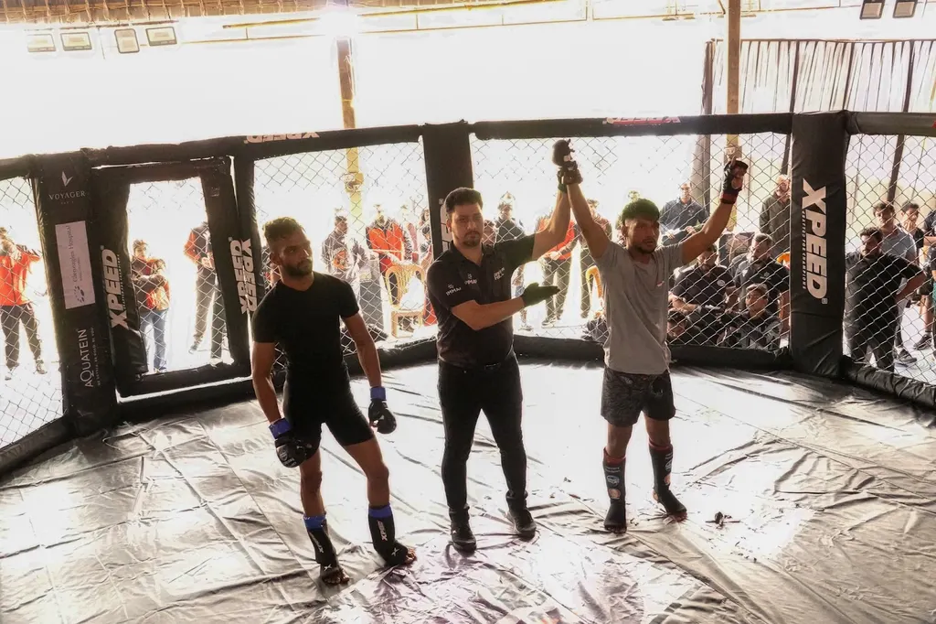 Art of Mixed Martial Arts (MMA) — Martial Arts in Lasudia Mori