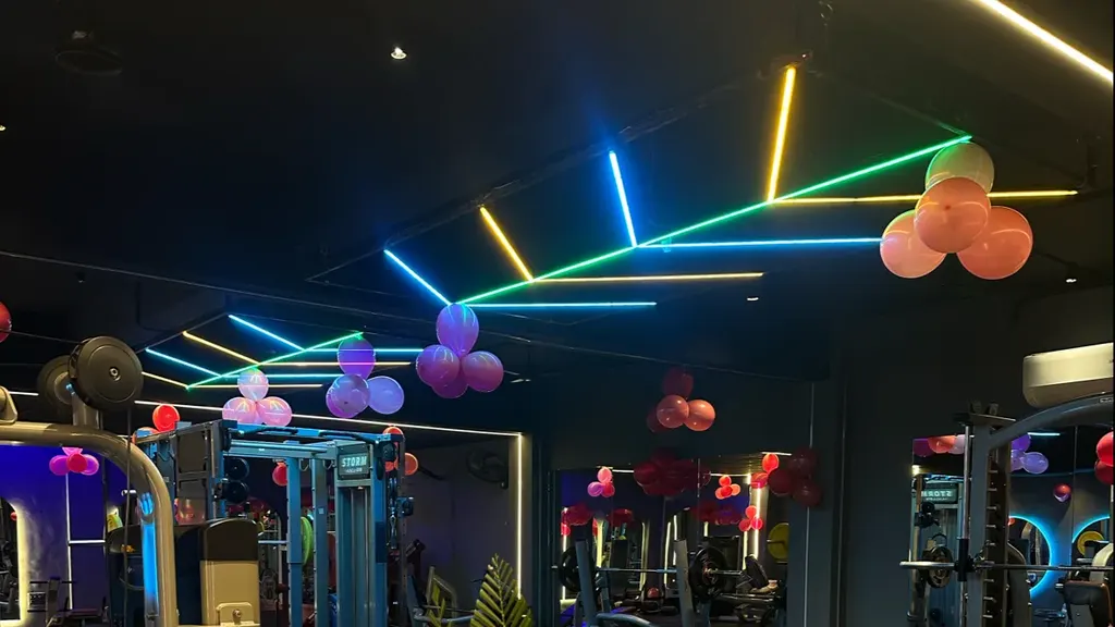 THE OXYGEN GYM