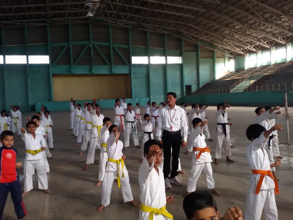 Aryan Karate Sports Academy