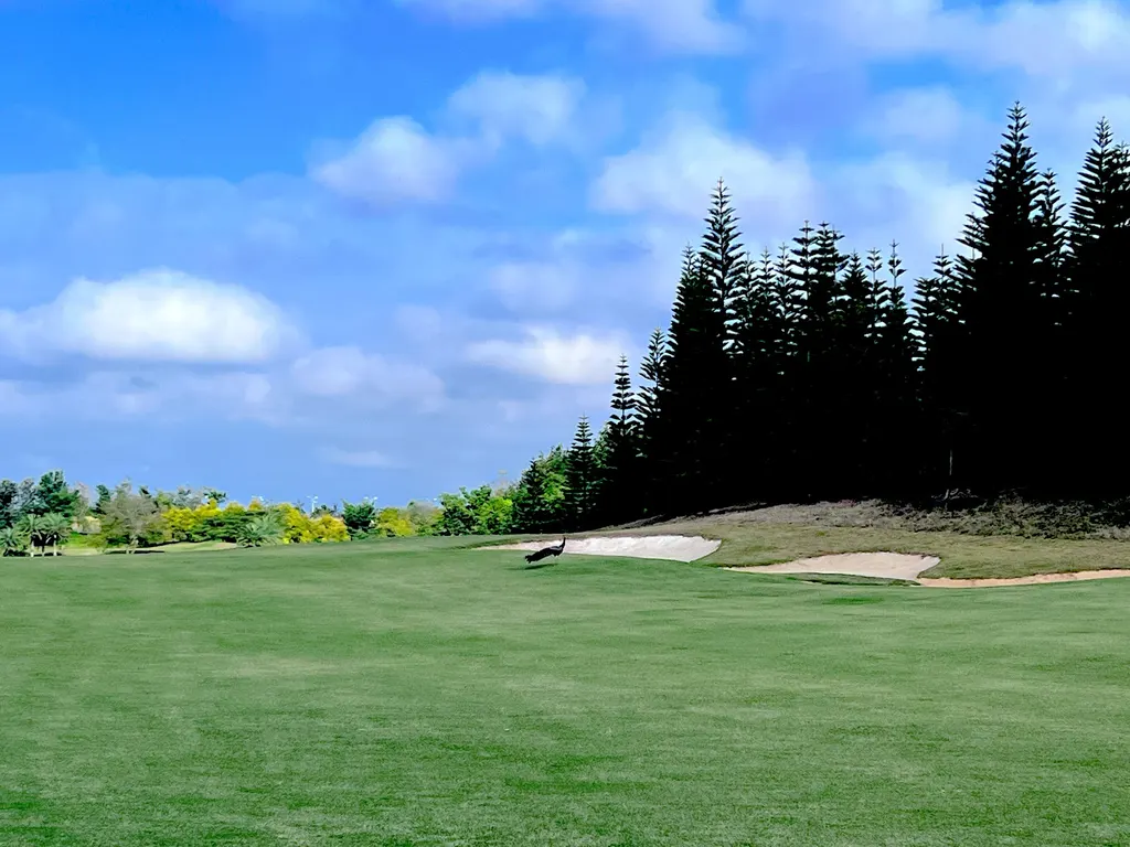 Eagleburg golf — Other Sports in Allanahalli Layout
