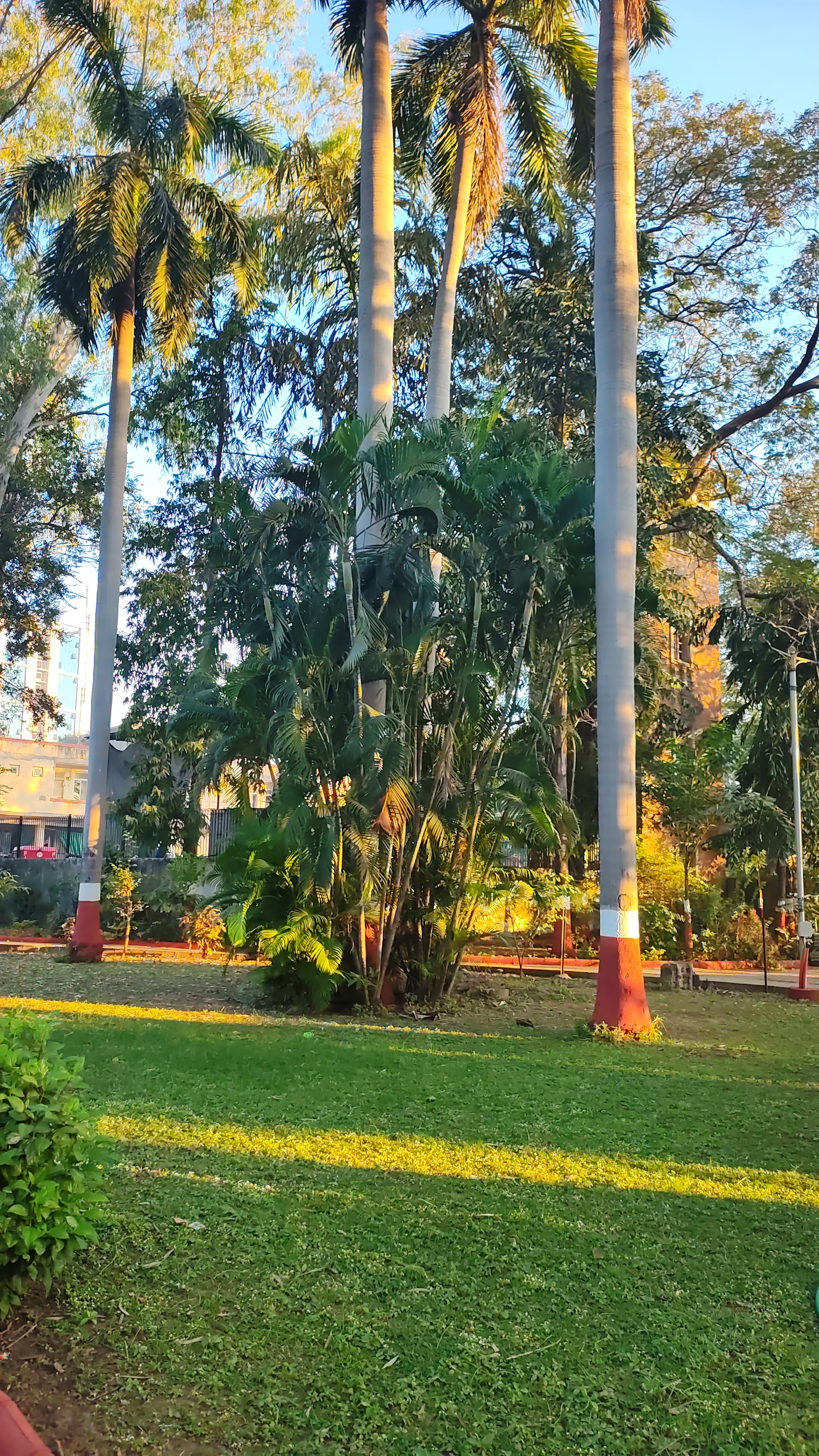 Sardar Baug