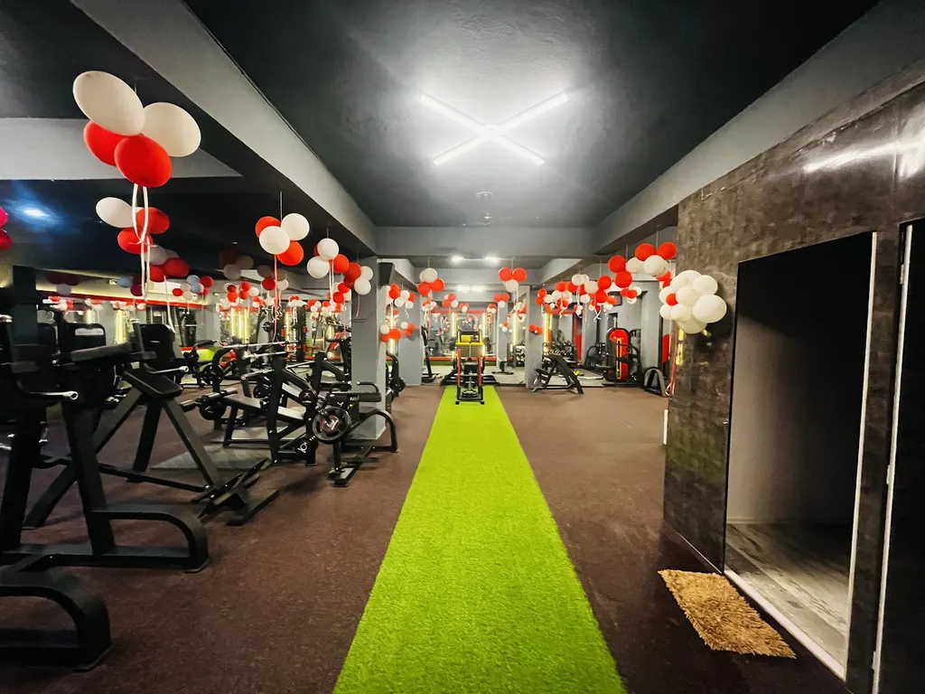The Fitness Freak