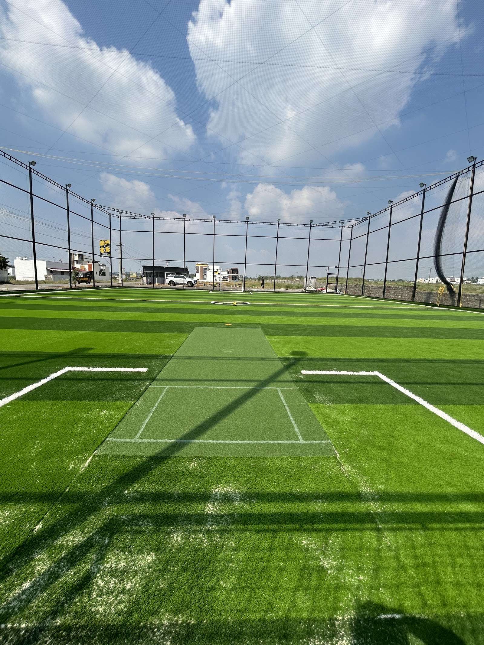 433 Arena Turf (”Echanari” )