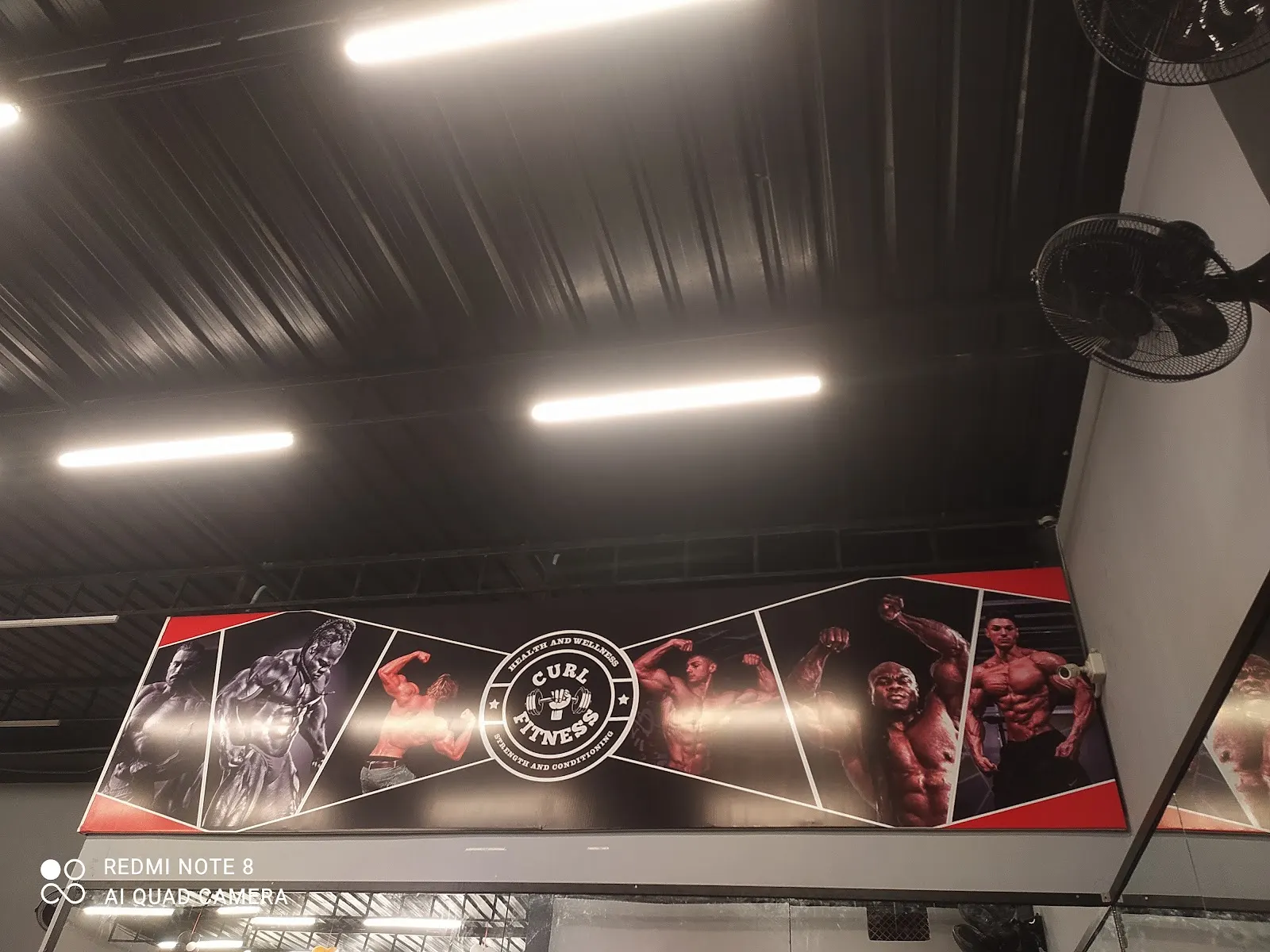 Curl fitness — Fitness Center in Sahakar Nagar, Indore