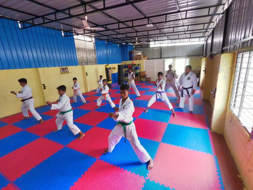 Goju-ryu karate-do academy — Gym & Fitness in Kuvempu Nagara
