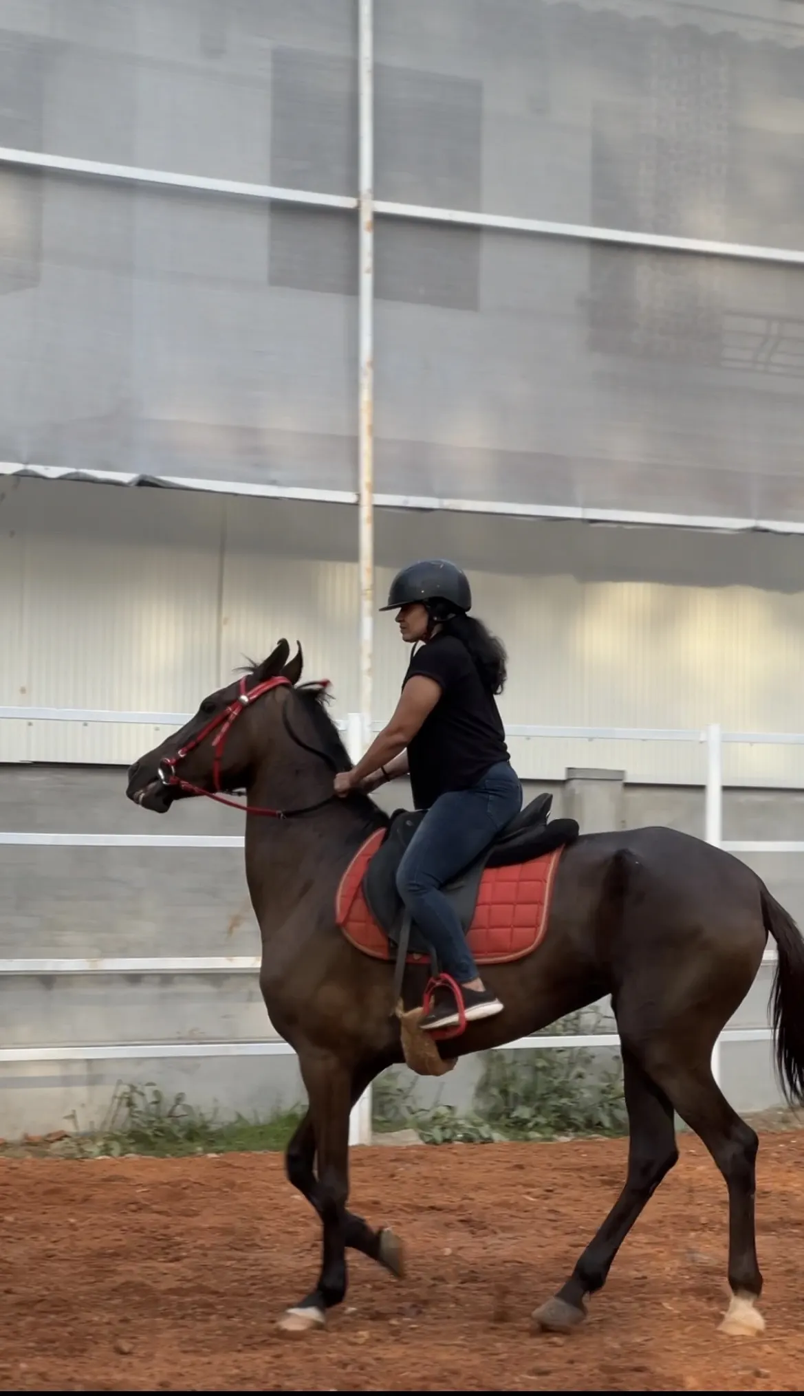 Greenhooves Equestrian Club & Riding School — Horse Riding in Thamaravattom, Kochi