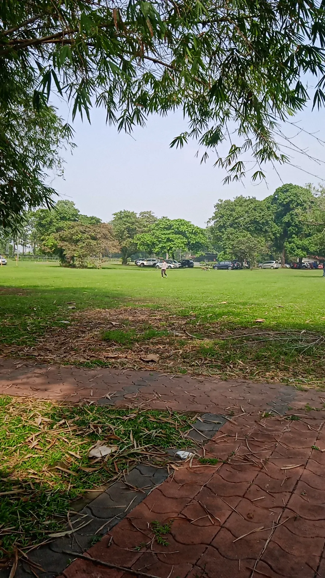 Bolgatty Golf Club — Other Sports in Bolgatty, Kochi