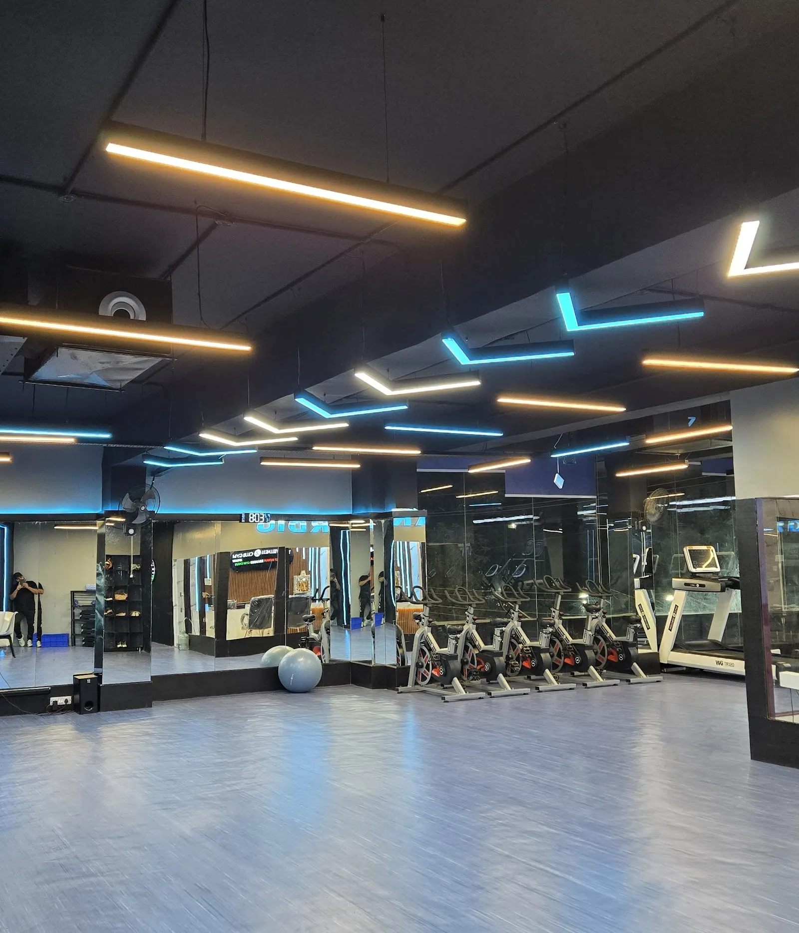 The Wellness Club Gym Xpress Gomti Nagar — Standard Gym in Gomti Nagar, Lucknow