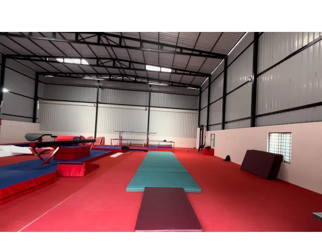Precise Gymnastics Academy photo 1