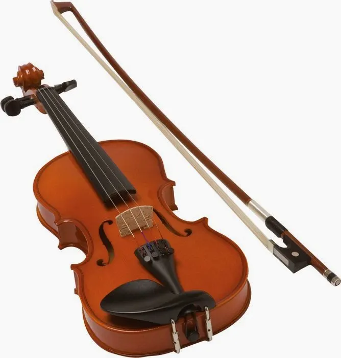BS Music Academy — Music in Adajan