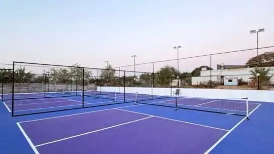 Paddle Aurum l 150 Feet Ring Road — Pickleball
