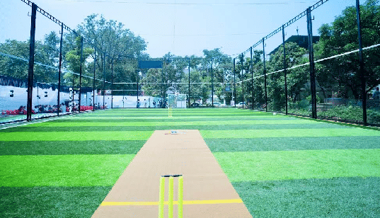 SportStrive Turf
