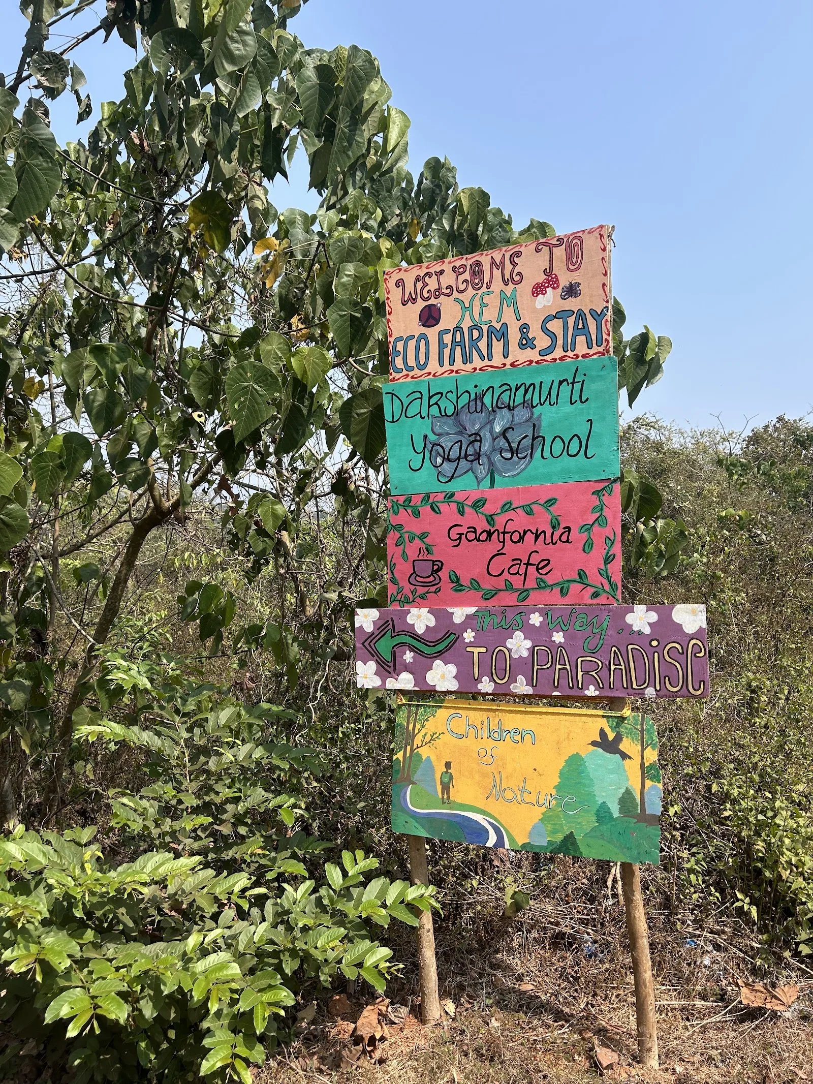 Dakshinamurti Yoga School — Yoga in Mercurim, Goa