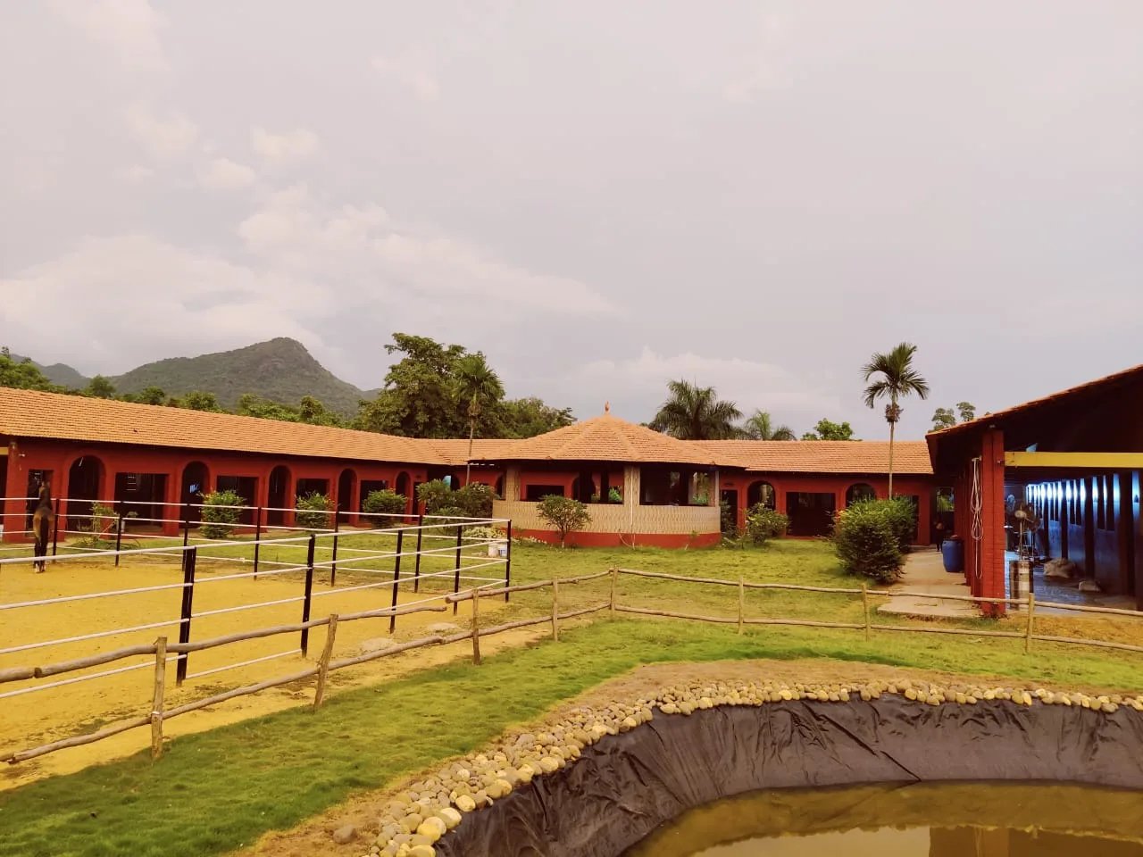 DS Stud — Horse Riding in Vanxim, Goa