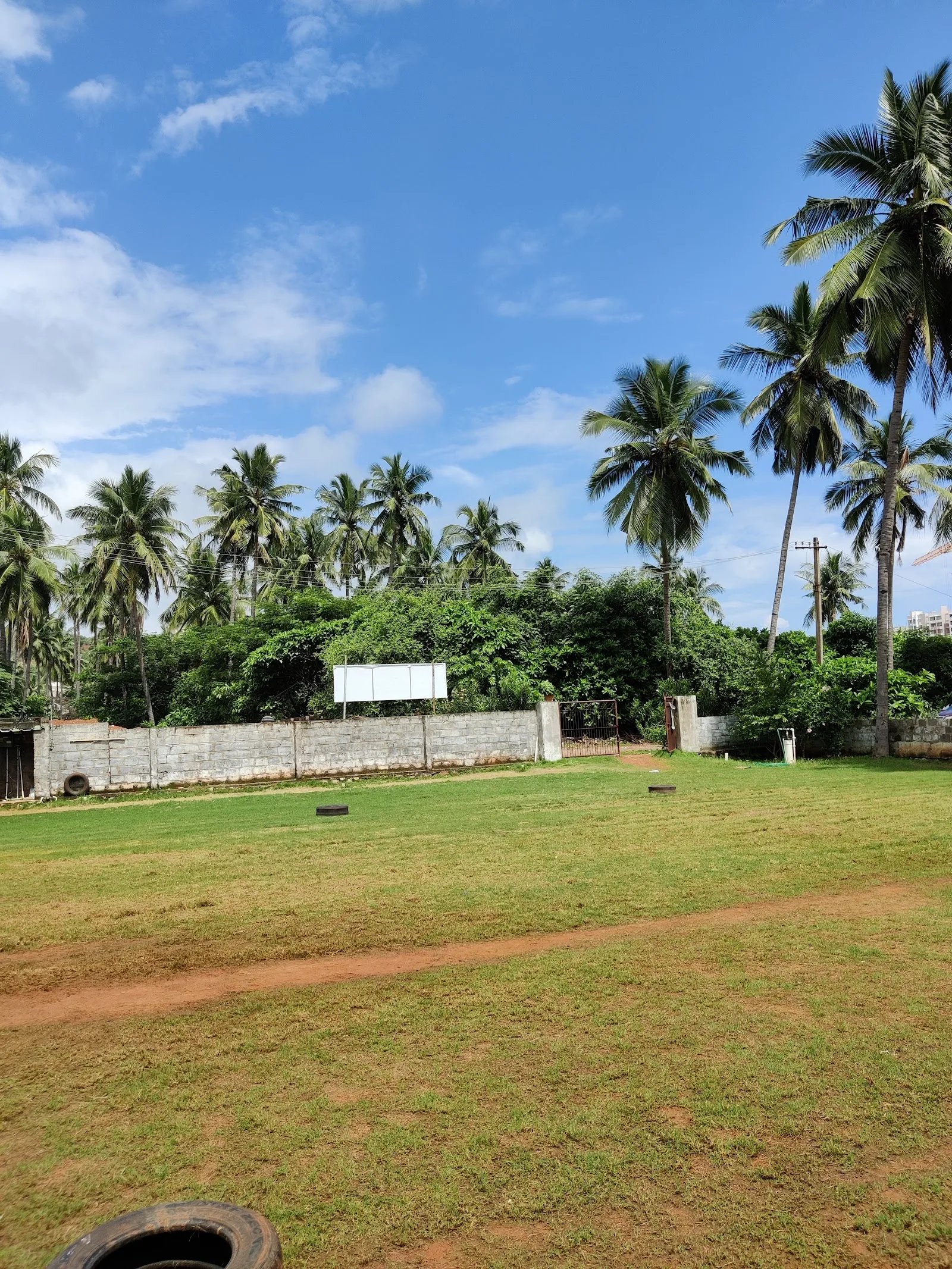 AG Cricket Academy — Cricket in Rushikonda, Visakhapatnam