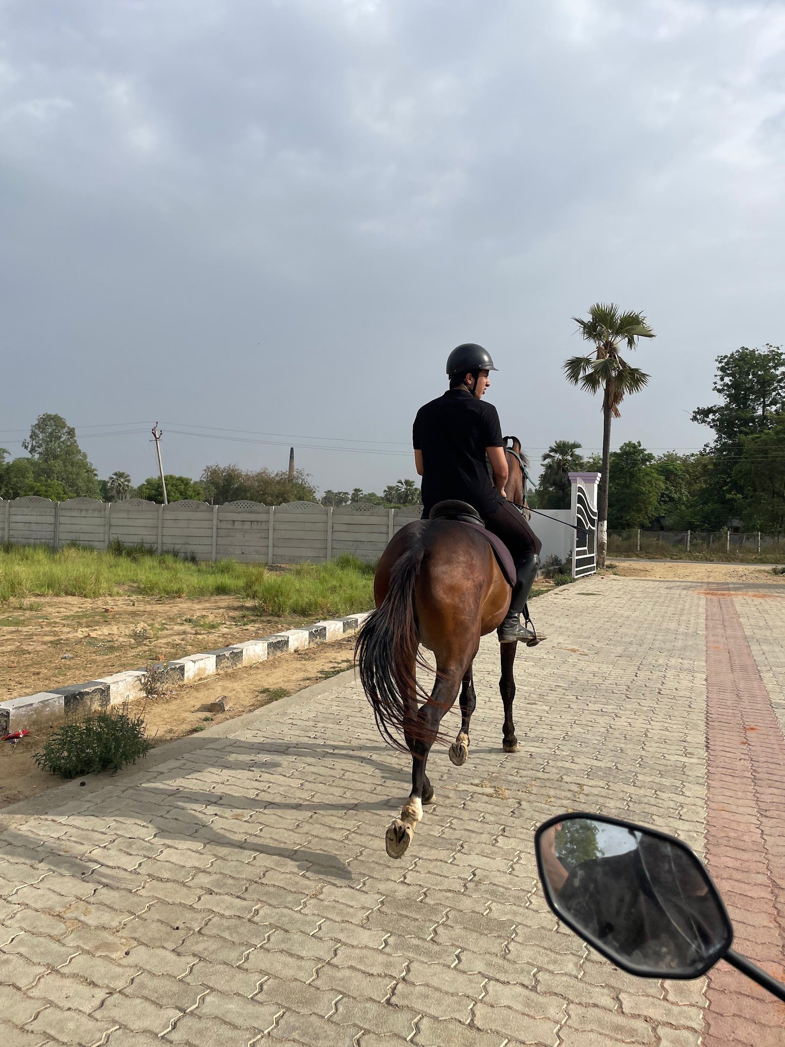 Horse riding Palm ground — Horse Riding in Alambagh, Lucknow