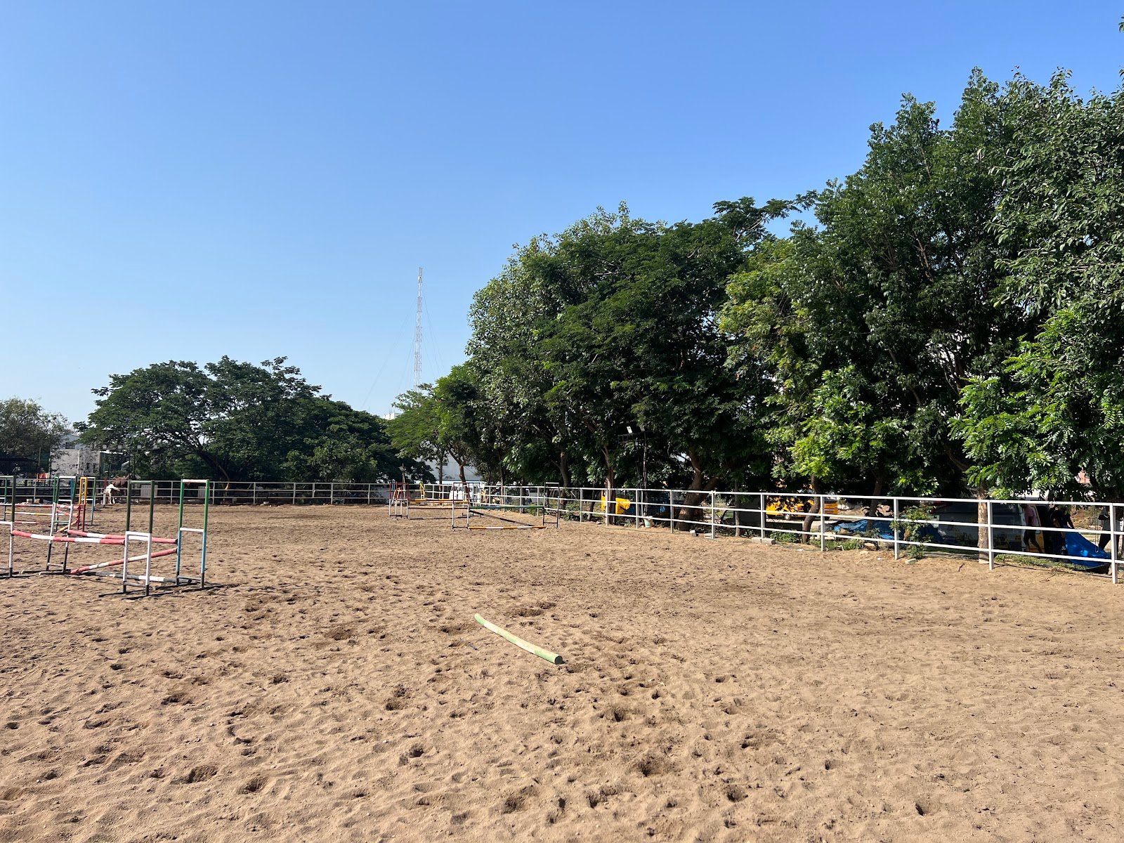 Equine dreams — Horse Riding in Pn Palayam, Coimbatore