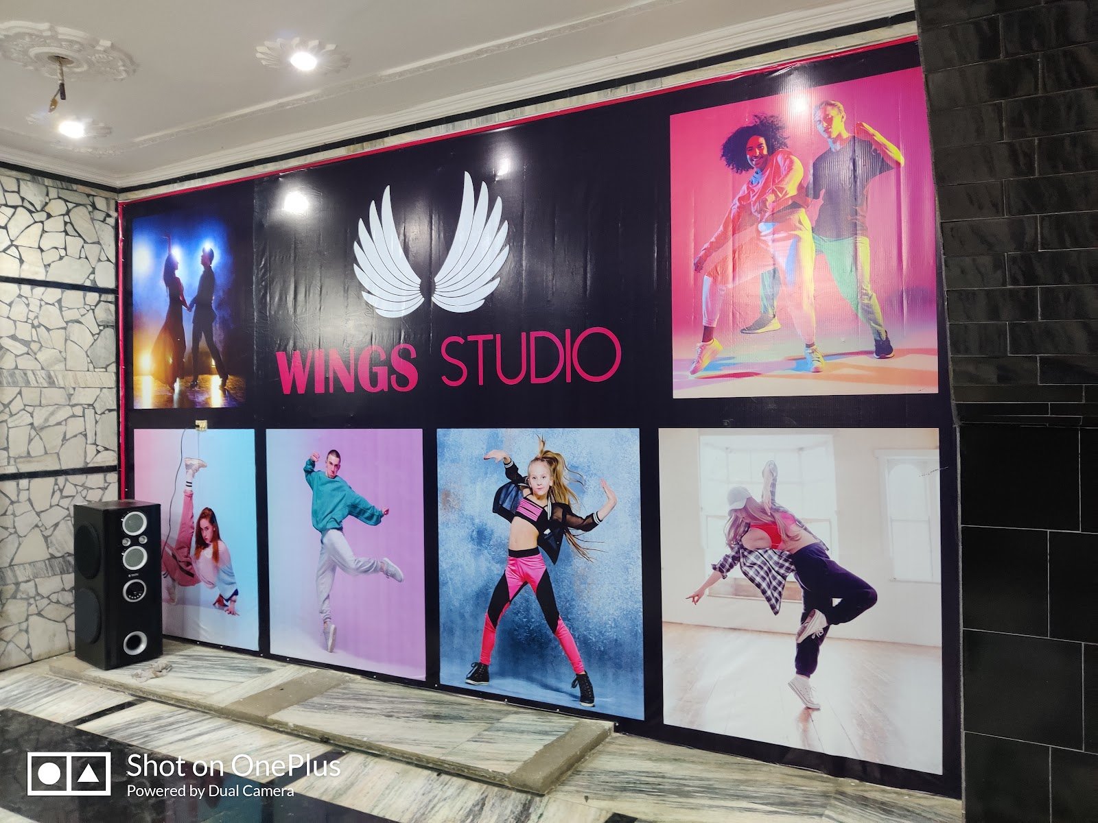 WINGS STUDIO (fitness & dance zone) — Gym & Fitness in Vijay Khand, Lucknow