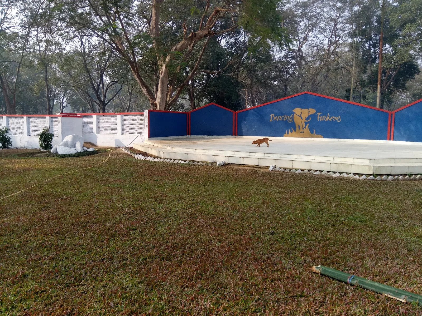 E- Bock — Basketball in Noonmati, Guwahati