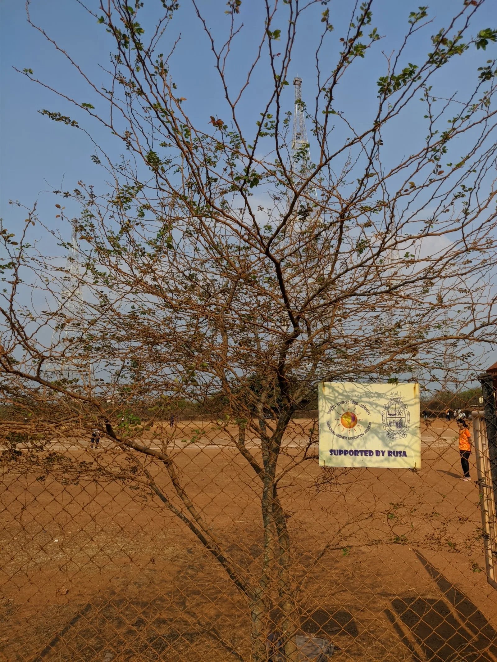 Goa University Cricket Ground — Cricket in Nauxim, Goa