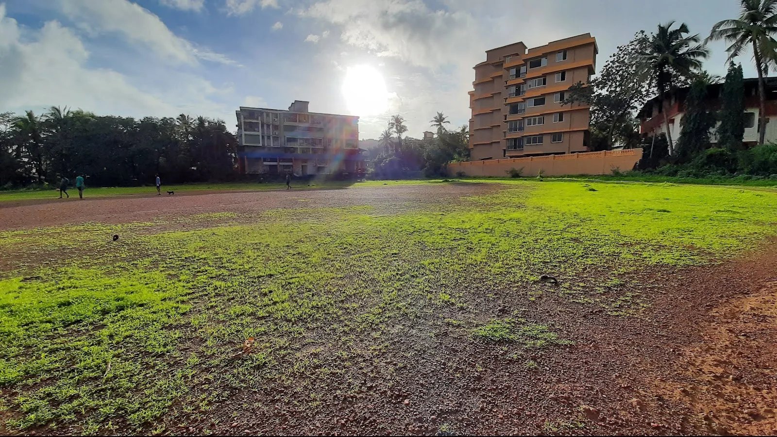 Costa Ground — Cricket in Mercurim, Goa