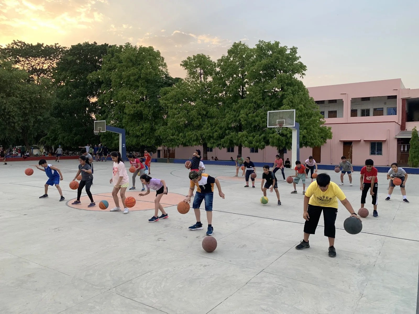 DRIBBLER BASKETBALL ACADEMY — Basketball in Shahpura, Bhopal