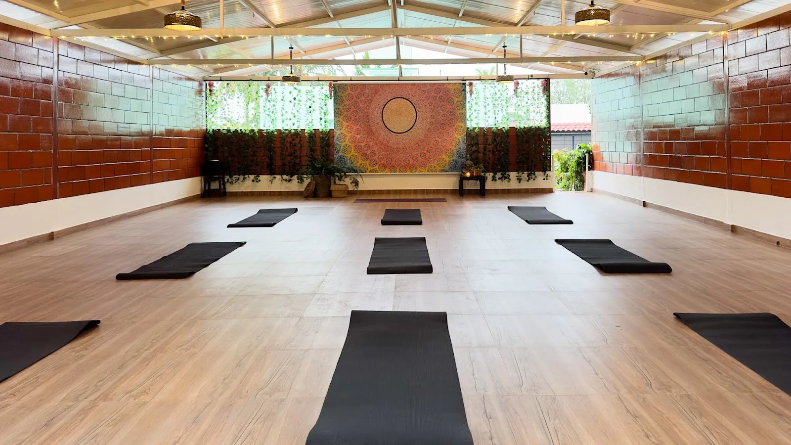 AURA- Yoga and Wellness — Yoga in Yadavagiri, Mysore