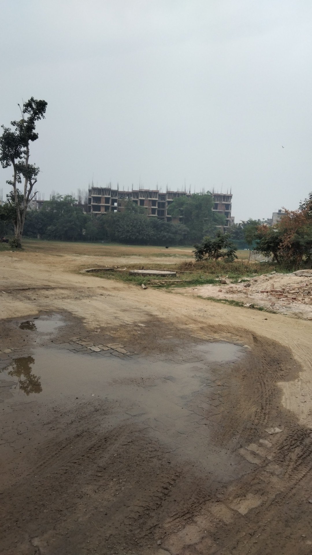 ANUANAND SCHOOL OF CRICKET ACADEMY — Cricket in Walmi Complex, Patna