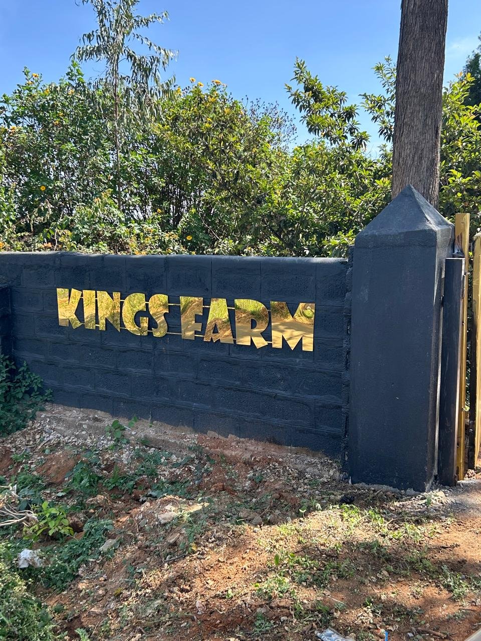 Horse Riding | School | Kings | Equestrian | Camp | Therapy | Ranch | Academy | Club | Foundation | Rescue | Stable — Horse Riding in Kovilpalayam, Coimbatore