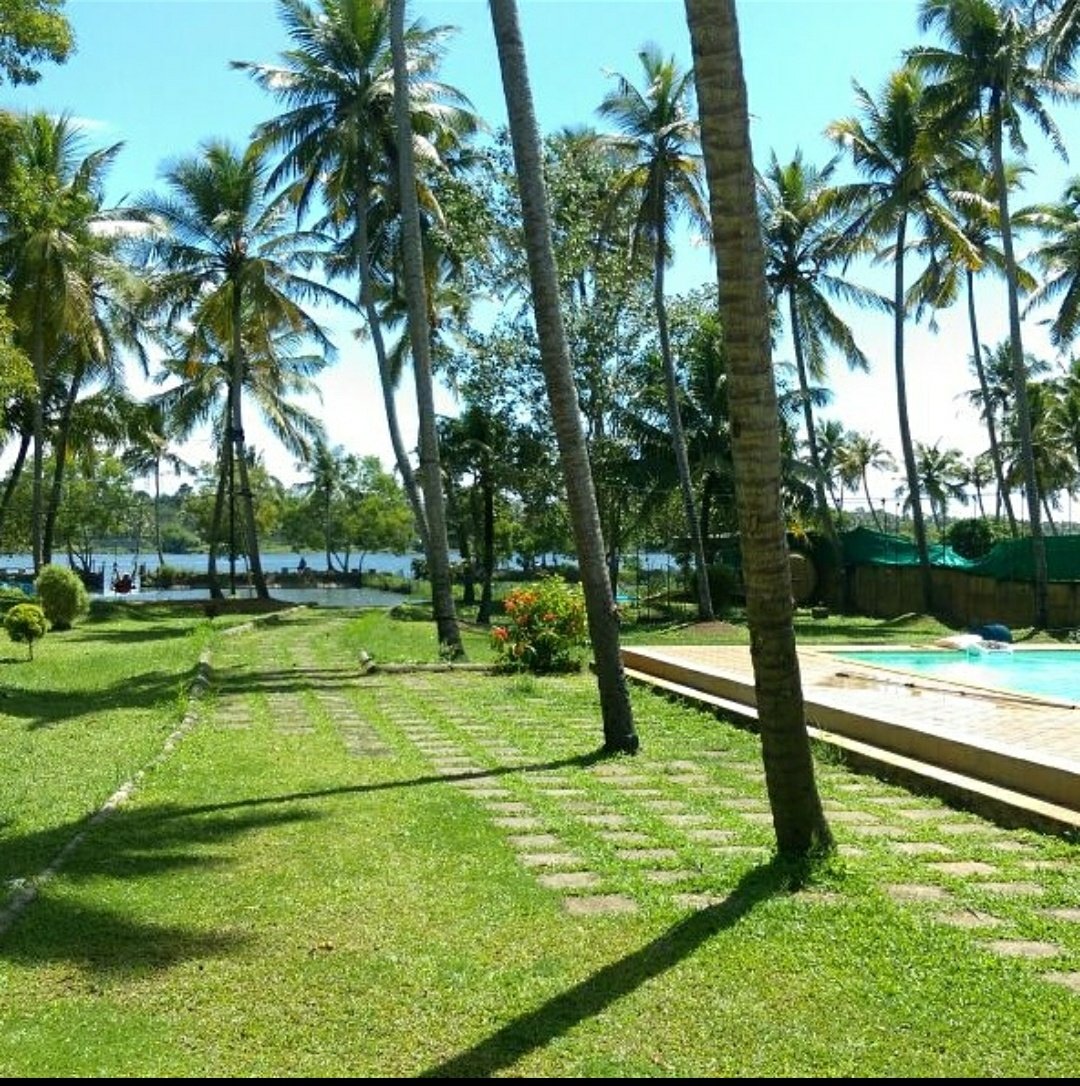 Kayak Adventures Murukumpuzha — Swimming in Mangalapuram, Trivandrum