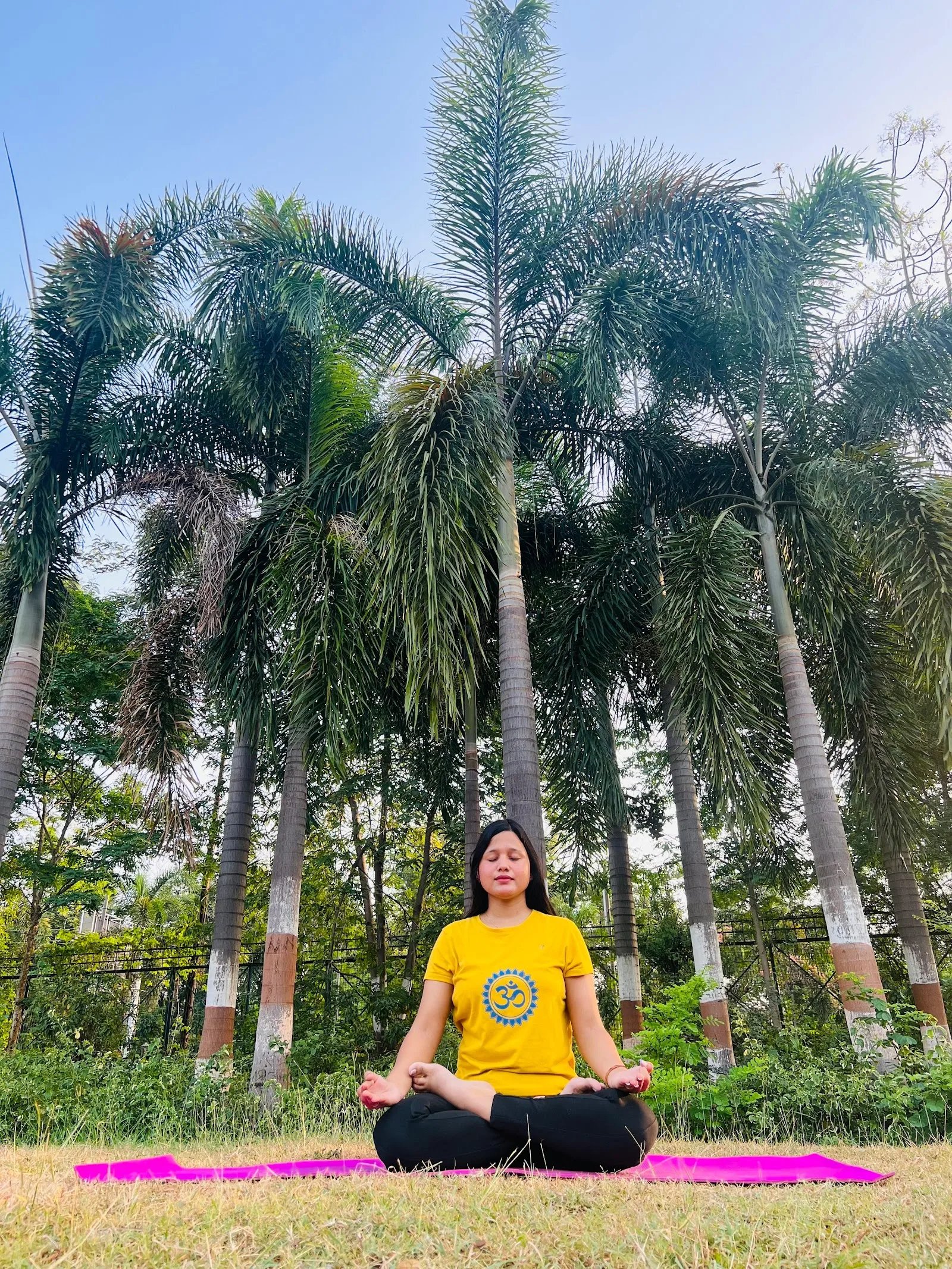 Himani Yoga & Wellness — Yoga in Char Imli, Bhopal