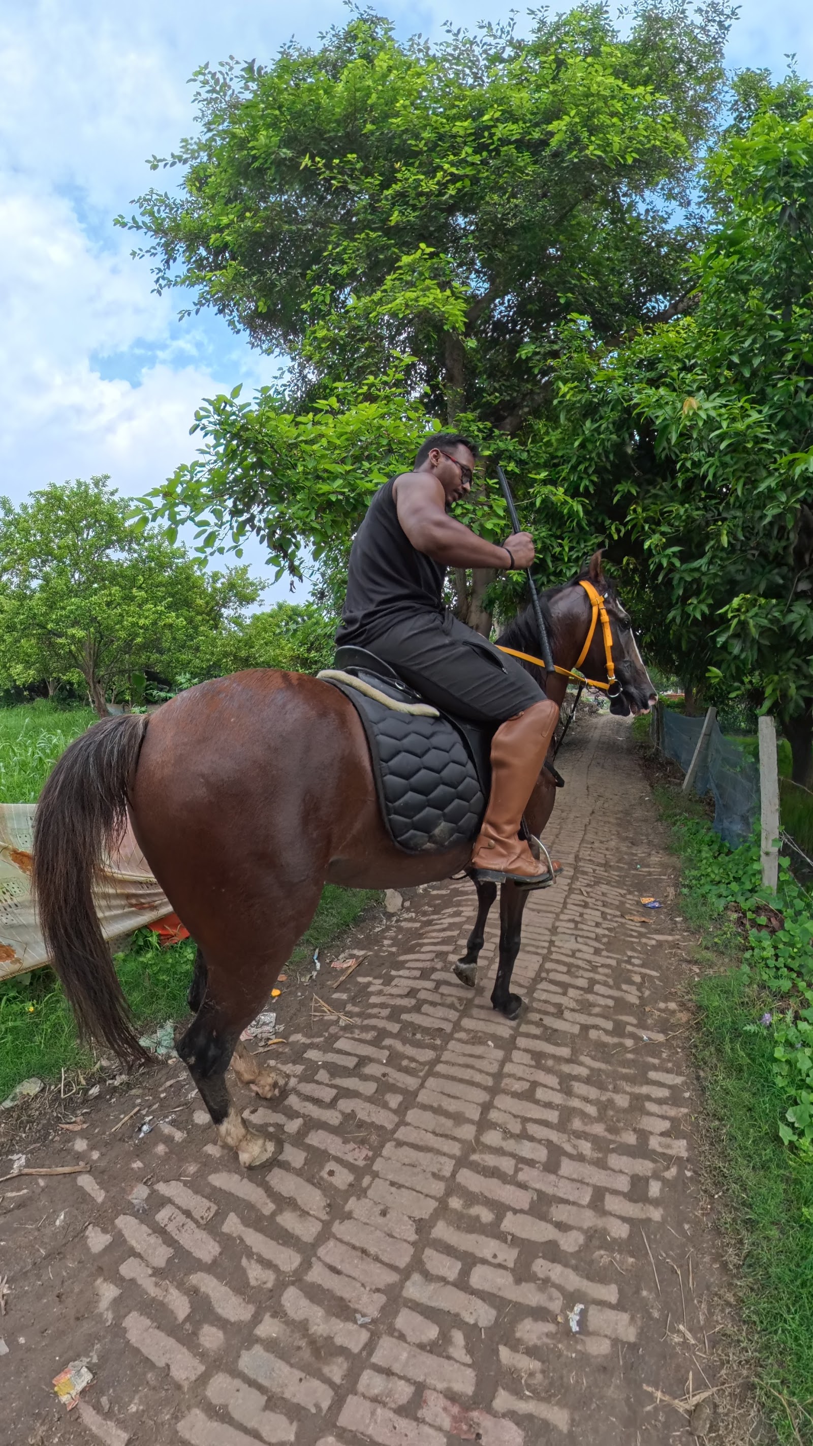 Heritage horse academy — Horse Riding in Rajaji Puram, Lucknow