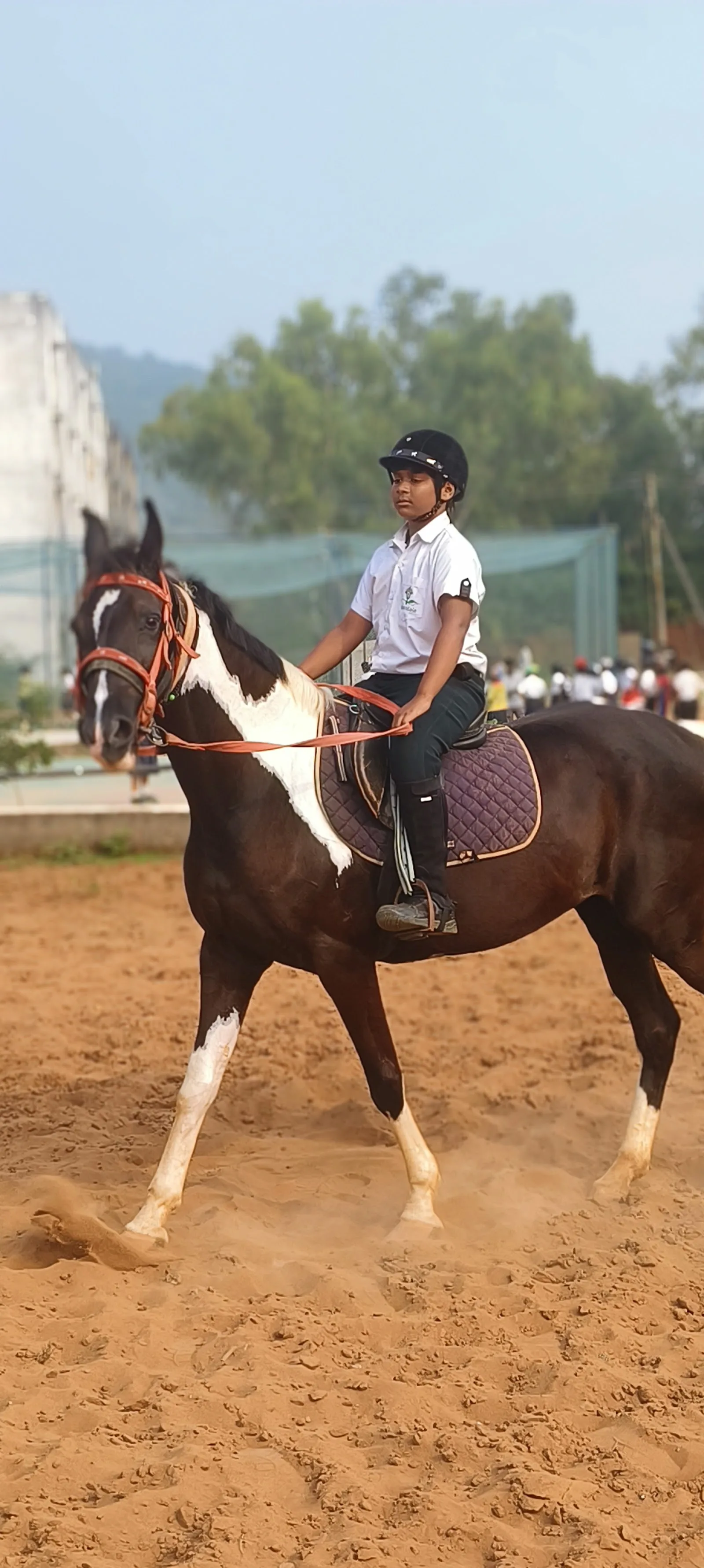 HORSE RIDING Club GREENDALE SCHOOL — Horse Riding in Rushikonda, Visakhapatnam