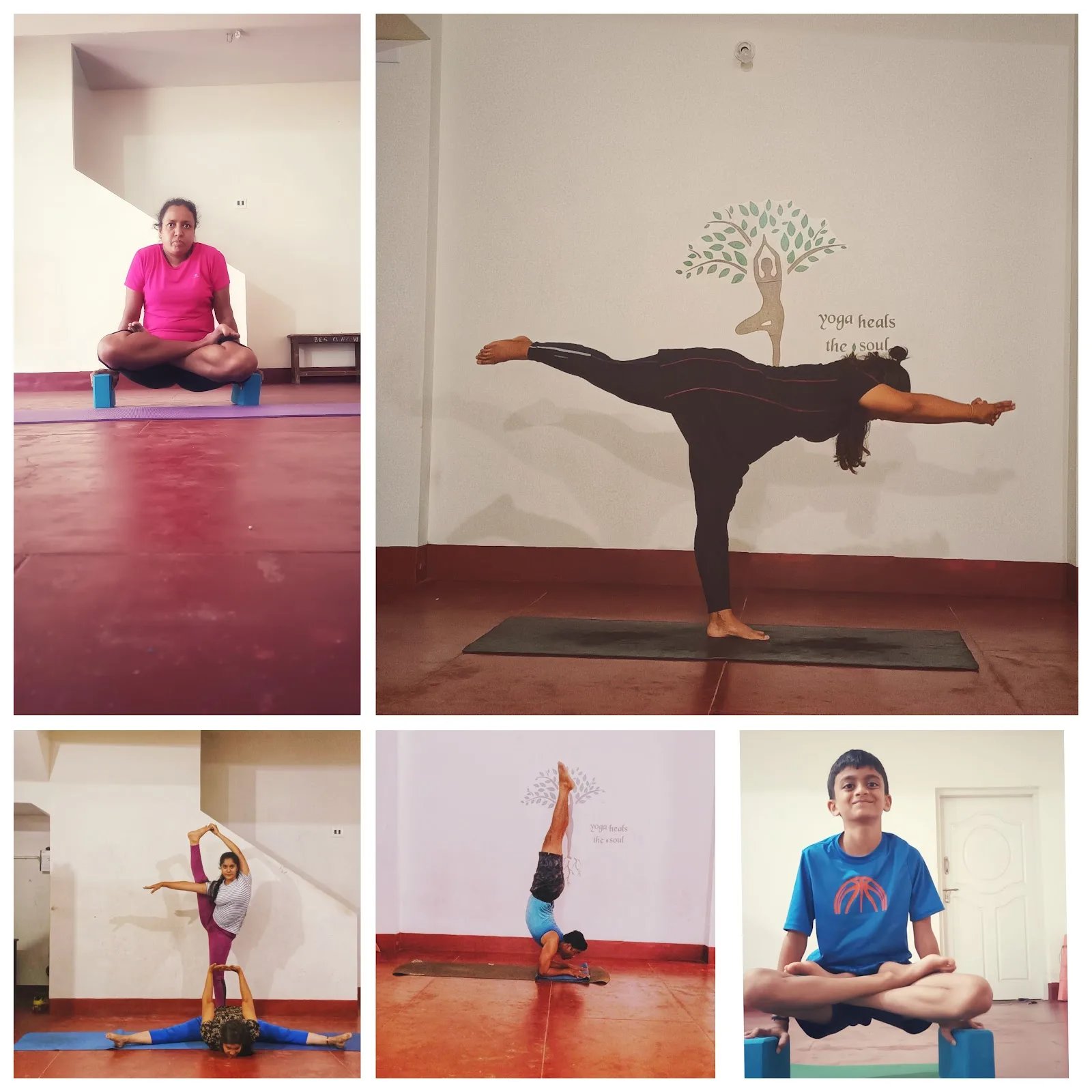 MYSORE WELLNESS YOGA CENTER | Anil — Yoga in Kuvempunagara, Mysore